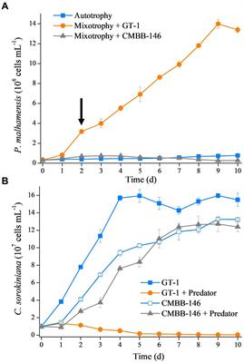 Transcriptional profile reveals the physiological responses to prey availability in the mixotrophic chrysophyte Poterioochromonas malhamensis